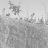 f07