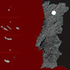 116