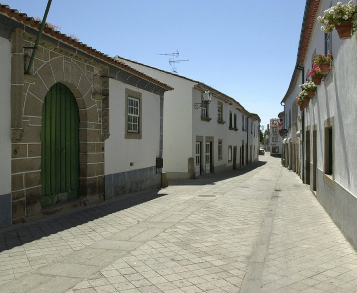 081-fi123753